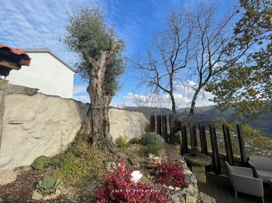 Casa Do Bernardino Villa Cabril  Eksteriør billede